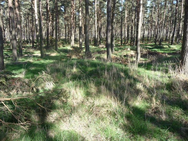 Image of Speys Law (2) (Artificial Mound) by drewbhoy