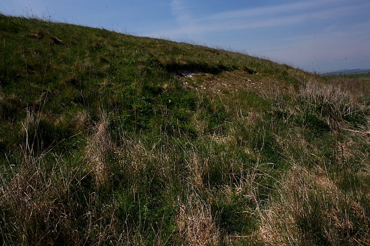 Image of Gussage Hill (Long Barrow) by GLADMAN