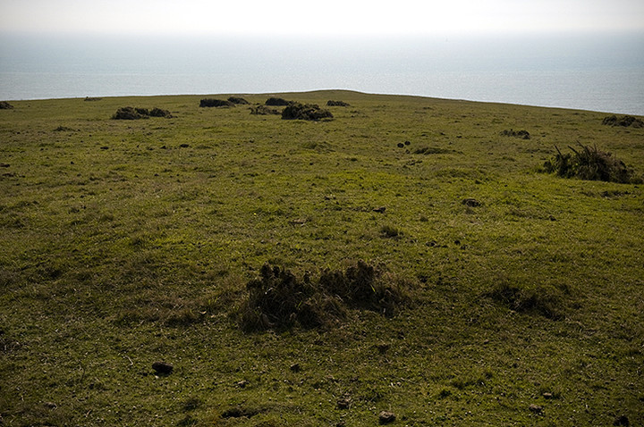 Image of Baily’s Hill (Round Barrow(s)) by A R Cane