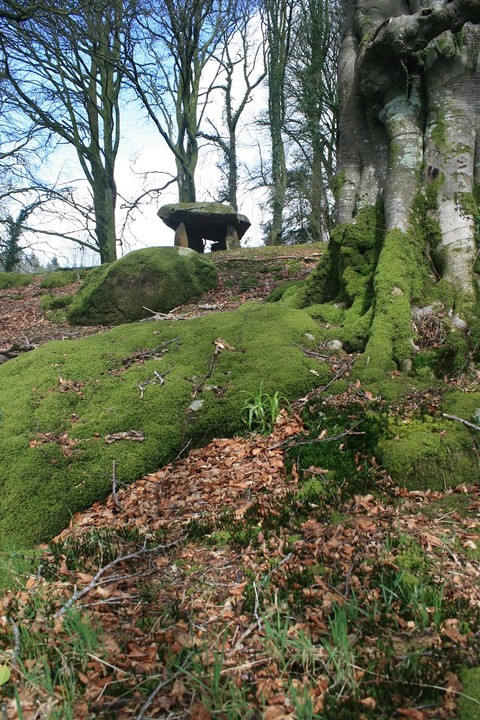 Image of Gwal-y-Filiast (Burial Chamber) by postman