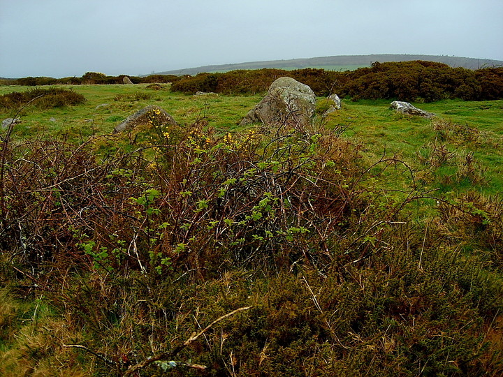 Image of Mardon Down Stone Circle by GLADMAN