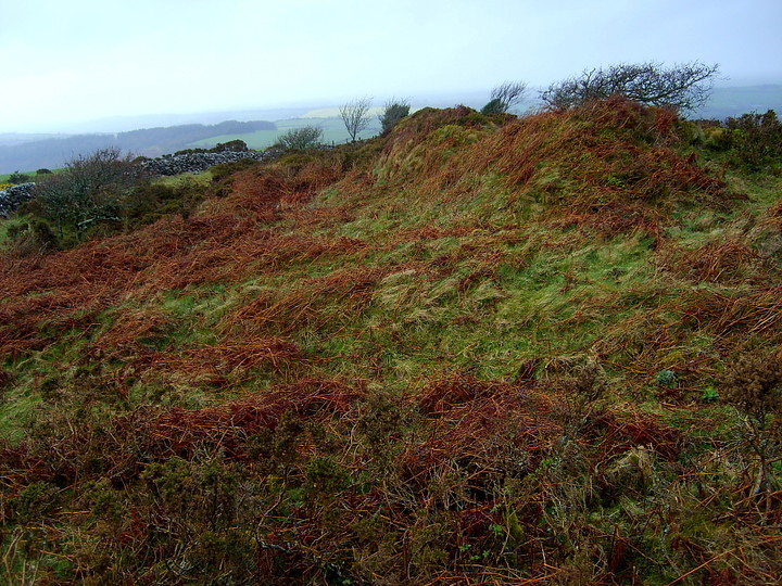 Image of Cranbrook Castle (Hillfort) by GLADMAN