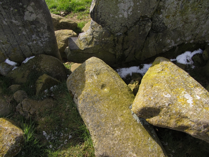 Image of Ardlair (Stone Circle) by thelonious