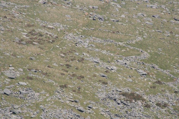Image of Pant-y-Griafolen (Ancient Village / Settlement / Misc. Earthwork) by postman