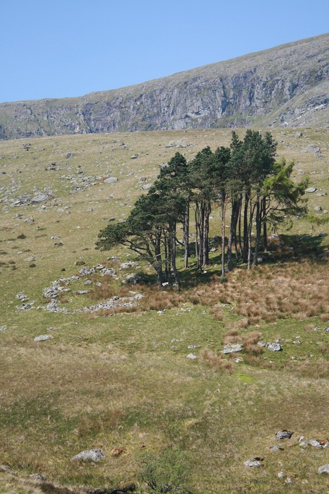 Image of Pant-y-Griafolen (Ancient Village / Settlement / Misc. Earthwork) by postman