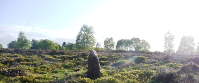 Image of Heather Hill (Standing Stone / Menhir) by drewbhoy