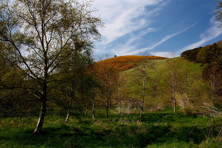 Image of Dunnideer (Hillfort) by GLADMAN