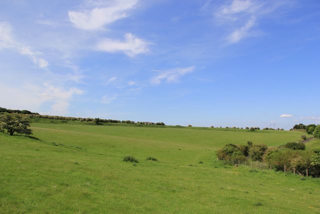 Image of Durrington Walls (Henge) by texlahoma