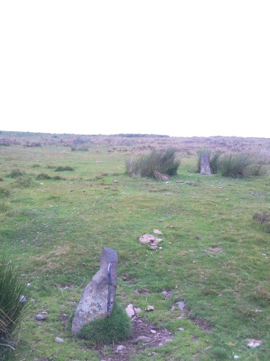 Image of Hoccombe Hill West (Standing Stones) by juamei