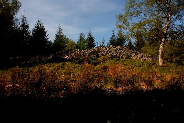 Image of Finzean (Long Cairn) by GLADMAN