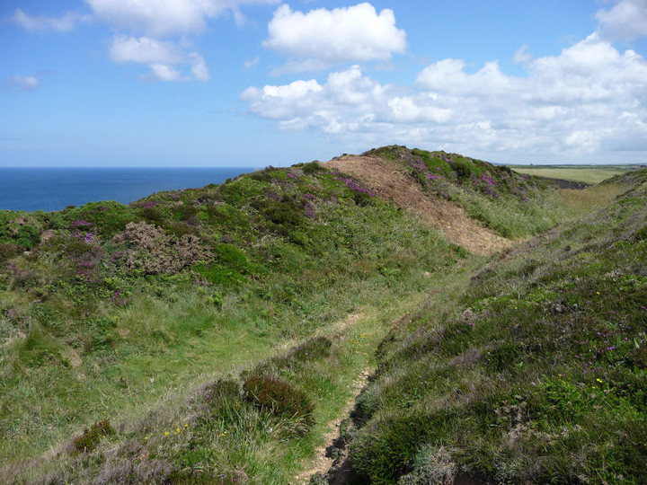Image of Crane Castle (Cliff Fort) by thesweetcheat