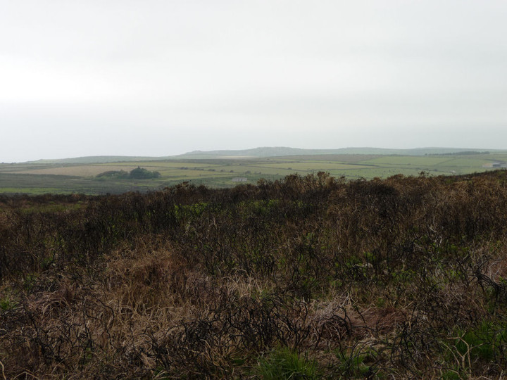 Image of Mulfra Hill round barrows (Round Barrow(s)) by thesweetcheat