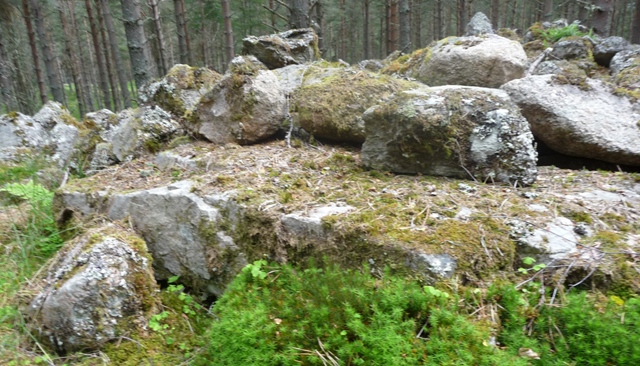 Image of Deishar Wood (Chambered Cairn) by drewbhoy