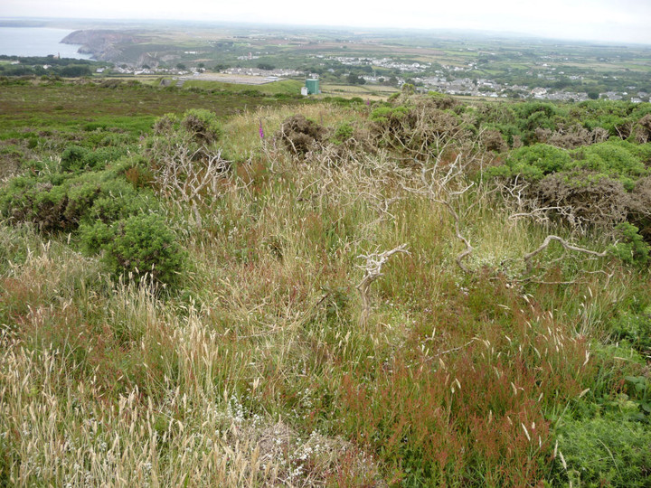 Image of St. Agnes Beacon (Cairn(s)) by thesweetcheat