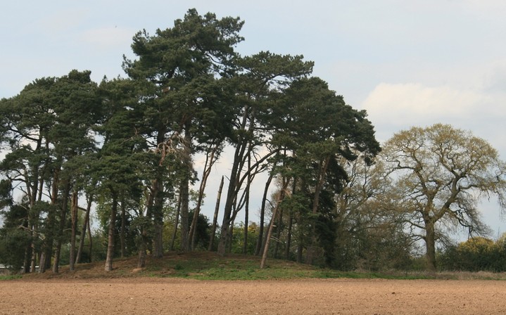 Image of Whitewell (Barrow / Cairn Cemetery) by postman