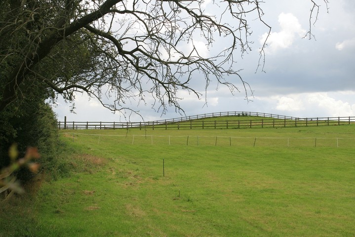 Image of Bryn Rossett (Barrow / Cairn Cemetery) by postman