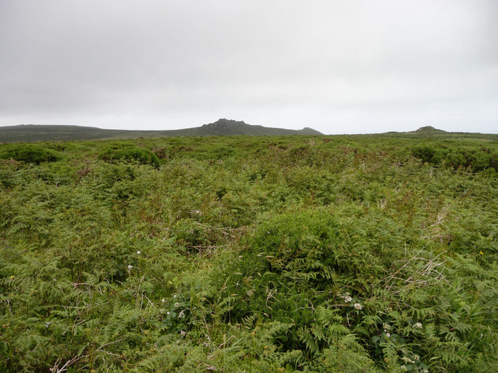 Image of Little Galva (Ring Cairn) by thesweetcheat