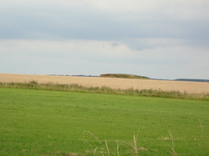Image of Summer Down (Round Barrow(s)) by Chance
