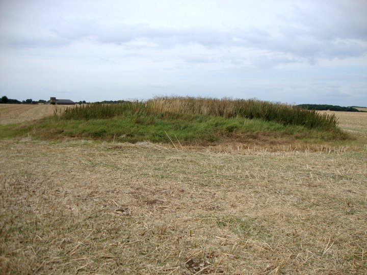 Image of Summer Down (Round Barrow(s)) by Chance