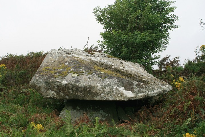 Image of Tan-y-Muriau (Chambered Cairn) by postman