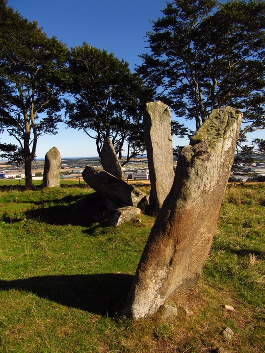 Image of Tyrebagger (Stone Circle) by thelonious