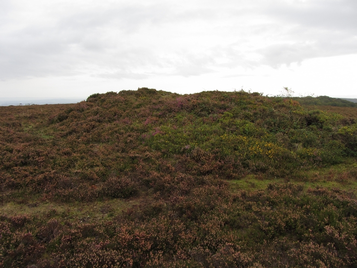 Image of Wills Neck (Round Barrow(s)) by thelonious