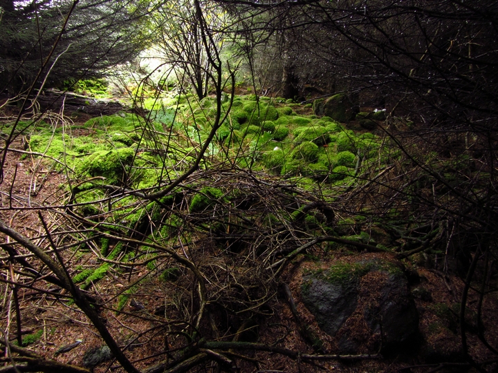 Image of Harvey’s Cairn (Cairn) by thelonious