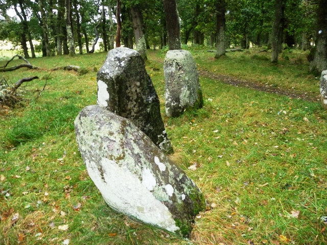 Image of Image Wood (Stone Circle) by drewbhoy