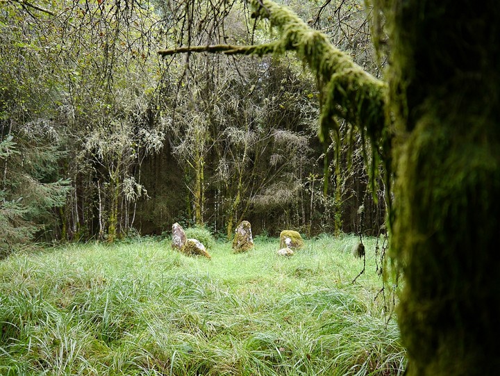 Image of Carrigagulla NE (Stone Circle) by Meic