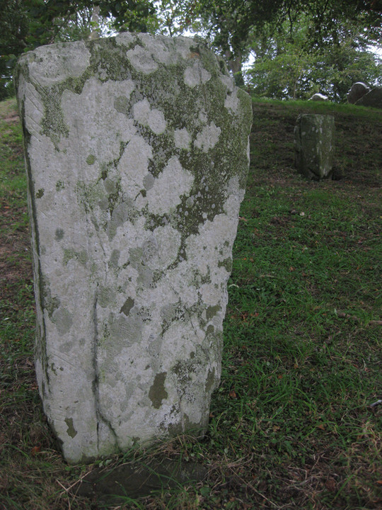 Image of Killeen Cormac (Passage Grave) by ryaner