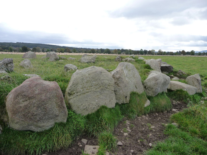 Image of Cullernie (Ring Cairn) by thesweetcheat
