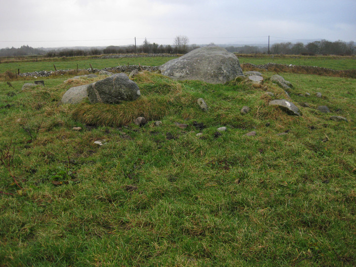 Image of Carrowcastle (Wedge Tomb) by ryaner