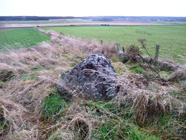 Image of Newton of Petty (Ring Cairn) by drewbhoy
