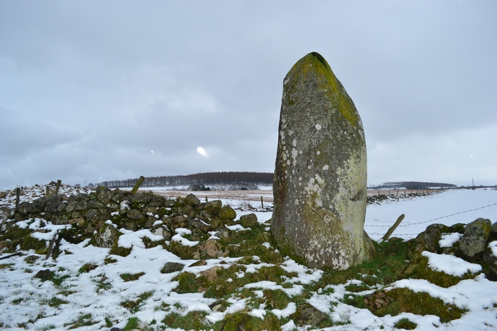 Image of Gouk Stone, Kinaldie (Standing Stone / Menhir) by thelonious