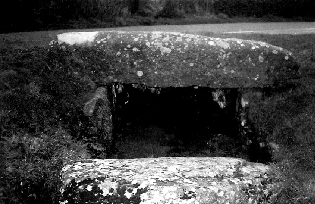 Image of Tregiffian (Entrance Grave) by pure joy