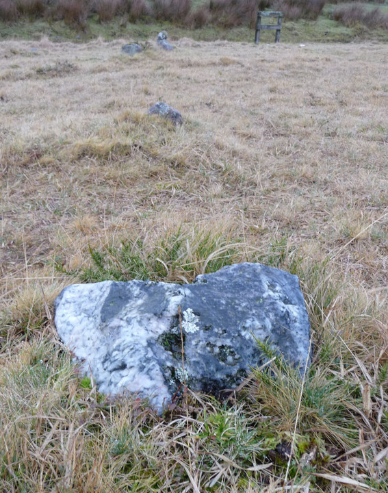 Image of West Saddlesborough Stone Row & Cairn Circle by thesweetcheat