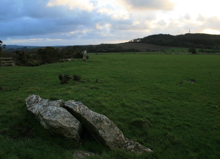 Image of The Nine Maidens (Stone Row / Alignment) by postman