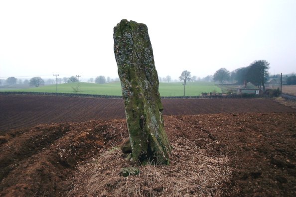 Image of Airlie (Standing Stone / Menhir) by nickbrand