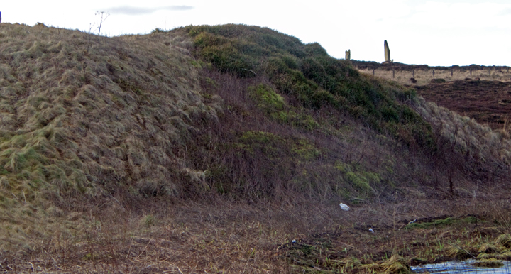 Image of Fresh Knowe (Chambered Cairn) by wideford