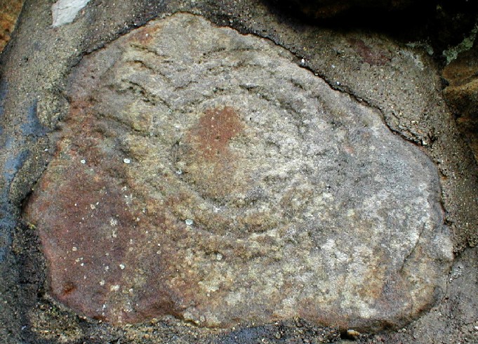 Image of Raven Hall Hotel (Cup and Ring Marks / Rock Art) by pebblesfromheaven