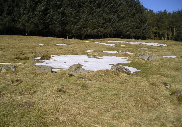 Image of Broad Moss (Stone Circle) by tiompan