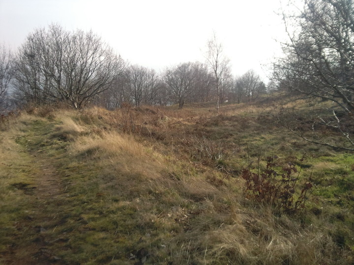 Image of Wincobank (Hillfort) by harestonesdown
