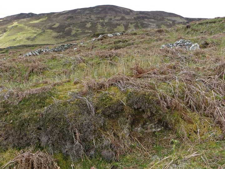 Image of Boreraig (Stone Circle) by LesHamilton