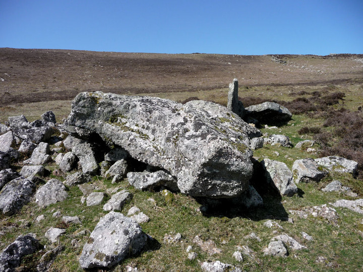 Image of Sweyne Howes (south) (Chambered Tomb) by thesweetcheat