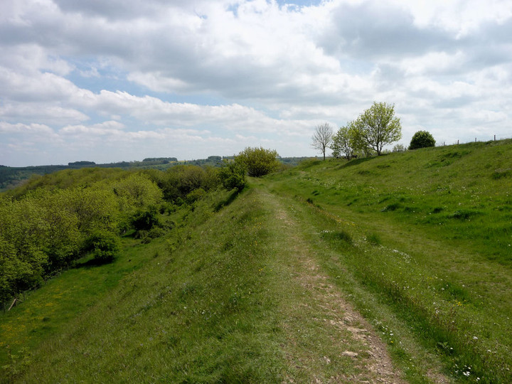 Image of Uley Bury Camp (Hillfort) by thesweetcheat