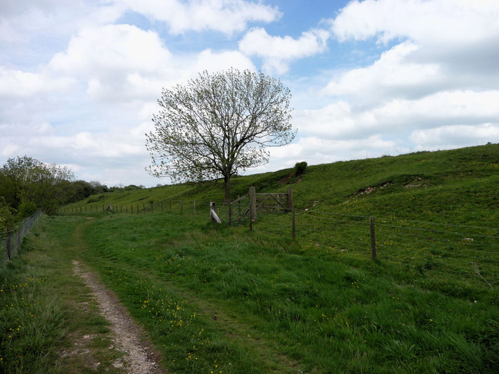 Image of Uley Bury Camp (Hillfort) by thesweetcheat