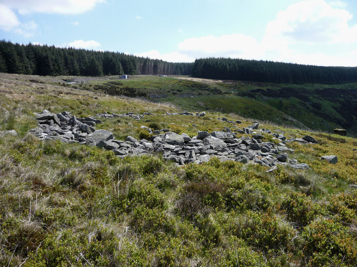 Image of Garreg Lwyd (Ancient Village / Settlement / Misc. Earthwork) by thesweetcheat