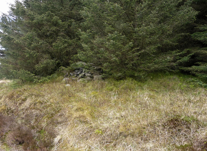 Image of Craig y Llyn (Neath) (Cairn(s)) by thesweetcheat