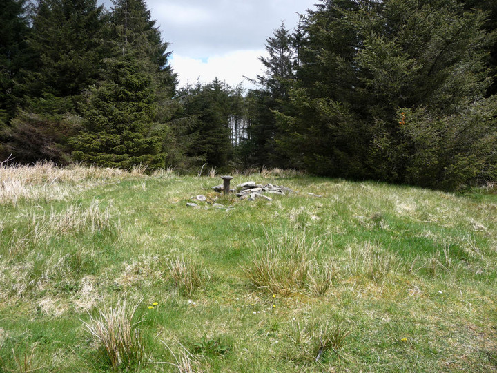 Image of Craig y Llyn (Neath) (Cairn(s)) by thesweetcheat