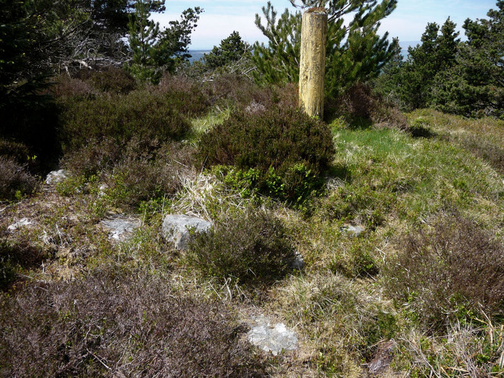 Image of Craig y Llyn (Neath) (Cairn(s)) by thesweetcheat